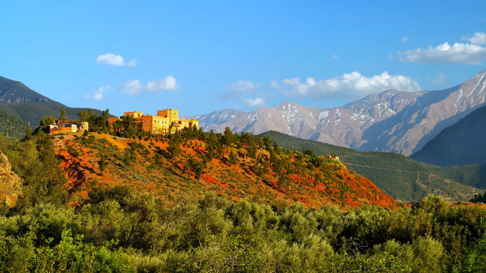 Nature & Landscapes