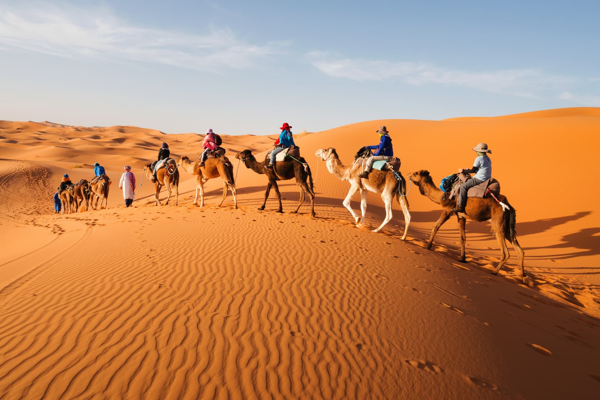 Moroccan Sahara