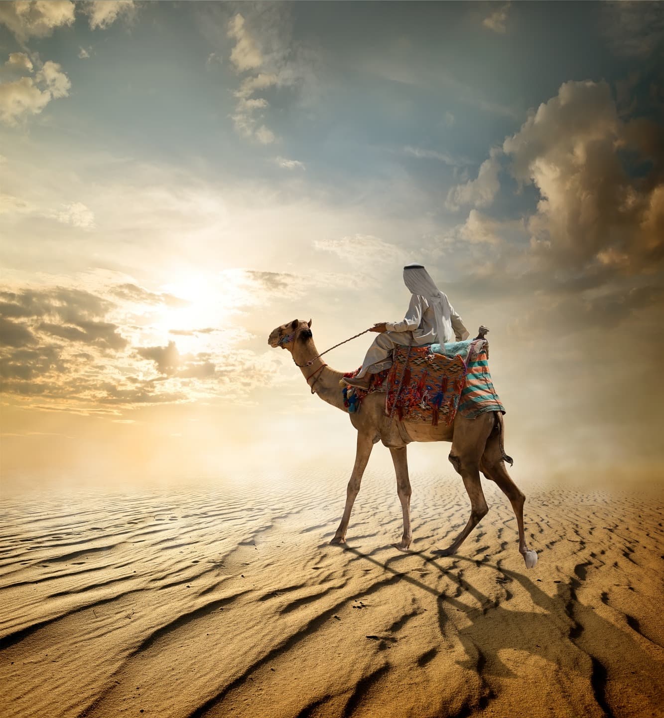 camel ride