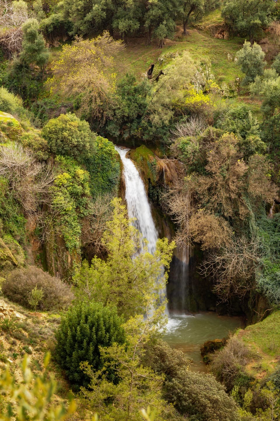 Tazekka National Park