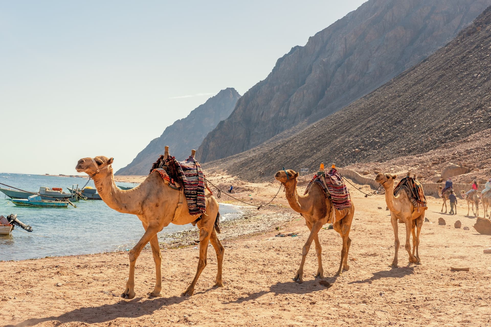 Camel Trekking in Morocco: 5 Must-Visit Destinations