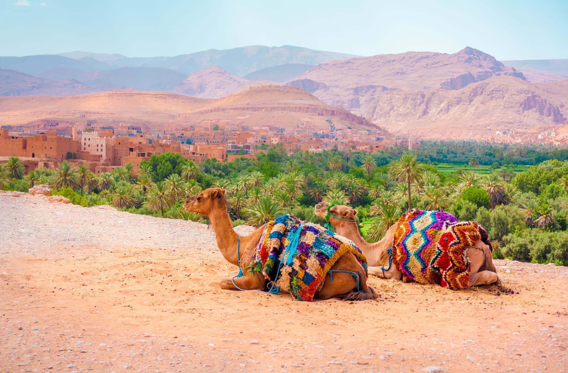 Morocco's Most Beautiful Oases