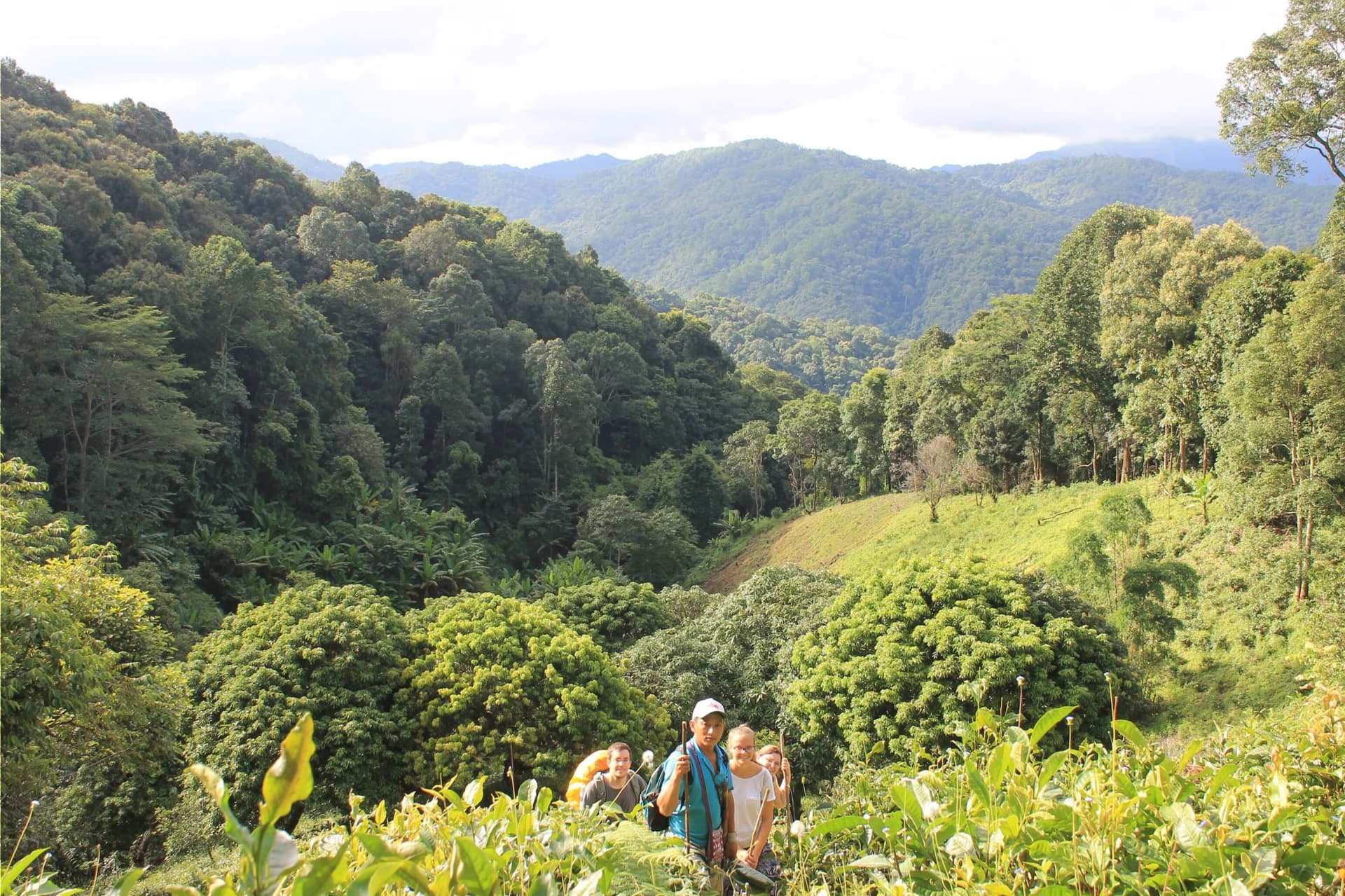 Trek dans les collines de la tribu montagnarde à Doi Inthanon
